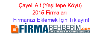 Çayeli+Alt+(Yeşiltepe+Köyü)+2015+Firmaları+ Firmanızı+Eklemek+İçin+Tıklayın!
