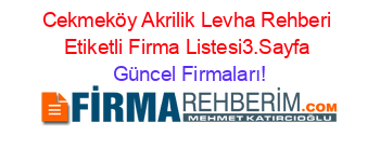Cekmeköy+Akrilik+Levha+Rehberi+Etiketli+Firma+Listesi3.Sayfa Güncel+Firmaları!