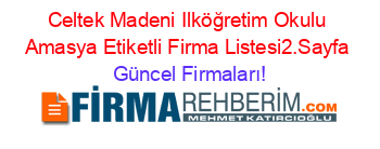 Celtek+Madeni+Ilköğretim+Okulu+Amasya+Etiketli+Firma+Listesi2.Sayfa Güncel+Firmaları!