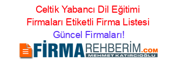 Celtik+Yabancı+Dil+Eğitimi+Firmaları+Etiketli+Firma+Listesi Güncel+Firmaları!