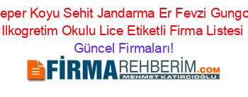 Ceper+Koyu+Sehit+Jandarma+Er+Fevzi+Gungor+Ilkogretim+Okulu+Lice+Etiketli+Firma+Listesi Güncel+Firmaları!