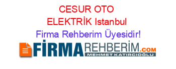 CESUR+OTO+ELEKTRİK+Istanbul Firma+Rehberim+Üyesidir!