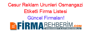 Cesur+Reklam+Urunleri+Osmangazi+Etiketli+Firma+Listesi Güncel+Firmaları!