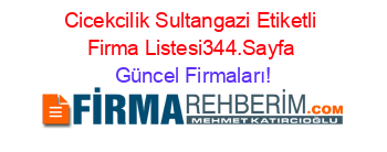 Cicekcilik+Sultangazi+Etiketli+Firma+Listesi344.Sayfa Güncel+Firmaları!
