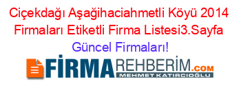 Ciçekdağı+Aşağihaciahmetli+Köyü+2014+Firmaları+Etiketli+Firma+Listesi3.Sayfa Güncel+Firmaları!