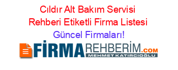 Cıldır+Alt+Bakım+Servisi+Rehberi+Etiketli+Firma+Listesi Güncel+Firmaları!