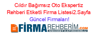 Cıldır+Bağımsız+Oto+Ekspertiz+Rehberi+Etiketli+Firma+Listesi2.Sayfa Güncel+Firmaları!