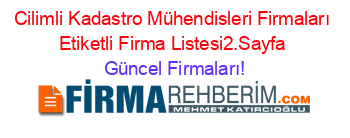 Cilimli+Kadastro+Mühendisleri+Firmaları+Etiketli+Firma+Listesi2.Sayfa Güncel+Firmaları!