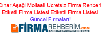 Cınar+Aşaği+Mollaali+Ucretsiz+Firma+Rehberi+Etiketli+Firma+Listesi+Etiketli+Firma+Listesi Güncel+Firmaları!