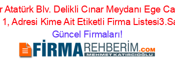 Cınar+Atatürk+Blv.+Delikli+Cınar+Meydanı+Ege+Carşısı+Kat:+1,+Adresi+Kime+Ait+Etiketli+Firma+Listesi3.Sayfa Güncel+Firmaları!