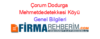 Çorum+Dodurga+Mehmetdedetekkesi+Köyü Genel+Bilgileri