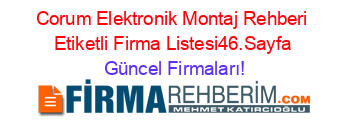 Corum+Elektronik+Montaj+Rehberi+Etiketli+Firma+Listesi46.Sayfa Güncel+Firmaları!