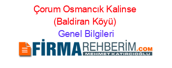 Çorum+Osmancık+Kalinse+(Baldiran+Köyü) Genel+Bilgileri