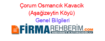 Çorum+Osmancık+Kavacik+(Aşağizeytin+Köyü) Genel+Bilgileri