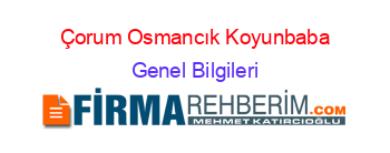 Çorum+Osmancık+Koyunbaba Genel+Bilgileri