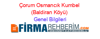 Çorum+Osmancık+Kumbel+(Baldiran+Köyü) Genel+Bilgileri