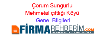 Çorum+Sungurlu+Mehmetaliçiftliği+Köyü Genel+Bilgileri