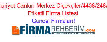 Cumhuriyet+Cankırı+Merkez+Ciçekçiler/4438/248/24/””+Etiketli+Firma+Listesi Güncel+Firmaları!