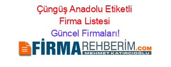 Çüngüş+Anadolu+Etiketli+Firma+Listesi Güncel+Firmaları!