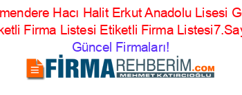 Değirmendere+Hacı+Halit+Erkut+Anadolu+Lisesi+Gölcük+Etiketli+Firma+Listesi+Etiketli+Firma+Listesi7.Sayfa Güncel+Firmaları!