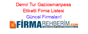 Demir+Tur+Gaziosmanpasa+Etiketli+Firma+Listesi Güncel+Firmaları!