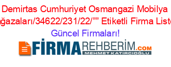 Demirtas+Cumhuriyet+Osmangazi+Mobilya+Mağazaları/34622/231/22/””+Etiketli+Firma+Listesi Güncel+Firmaları!