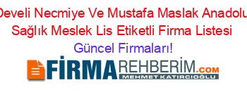 Develi+Necmiye+Ve+Mustafa+Maslak+Anadolu+Sağlık+Meslek+Lis+Etiketli+Firma+Listesi Güncel+Firmaları!