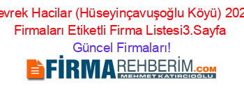 Devrek+Hacilar+(Hüseyinçavuşoğlu+Köyü)+2024+Firmaları+Etiketli+Firma+Listesi3.Sayfa Güncel+Firmaları!