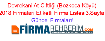 Devrekani+At+Ciftliği+(Bozkoca+Köyü)+2018+Firmaları+Etiketli+Firma+Listesi3.Sayfa Güncel+Firmaları!