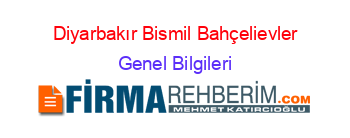 Diyarbakır+Bismil+Bahçelievler Genel+Bilgileri