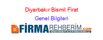 Diyarbakır+Bismil+Firat Genel+Bilgileri
