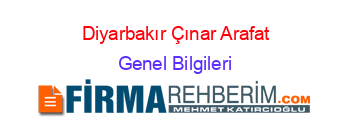 Diyarbakır+Çınar+Arafat Genel+Bilgileri