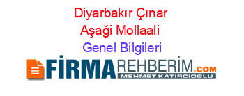 Diyarbakır+Çınar+Aşaği+Mollaali Genel+Bilgileri