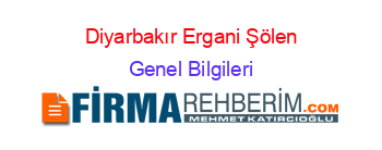 Diyarbakır+Ergani+Şölen Genel+Bilgileri