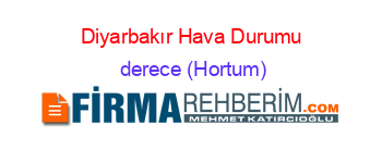 Diyarbakır+Hava+Durumu +derece+(Hortum)