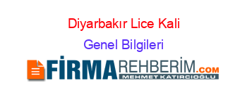 Diyarbakır+Lice+Kali Genel+Bilgileri