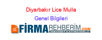 Diyarbakır+Lice+Mulla Genel+Bilgileri