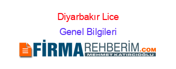 Diyarbakır+Lice Genel+Bilgileri