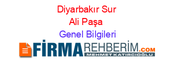 Diyarbakır+Sur+Ali+Paşa Genel+Bilgileri