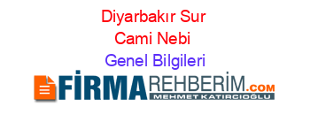 Diyarbakır+Sur+Cami+Nebi Genel+Bilgileri
