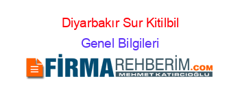 Diyarbakır+Sur+Kitilbil Genel+Bilgileri