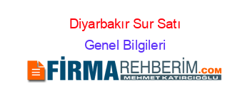 Diyarbakır+Sur+Satı Genel+Bilgileri