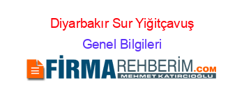 Diyarbakır+Sur+Yiğitçavuş Genel+Bilgileri