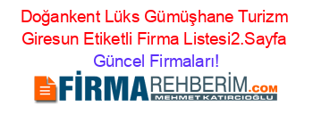 Doğankent+Lüks+Gümüşhane+Turizm+Giresun+Etiketli+Firma+Listesi2.Sayfa Güncel+Firmaları!