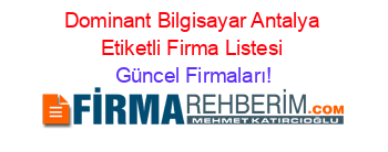 Dominant+Bilgisayar+Antalya+Etiketli+Firma+Listesi Güncel+Firmaları!