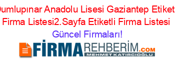 Dumlupınar+Anadolu+Lisesi+Gaziantep+Etiketli+Firma+Listesi2.Sayfa+Etiketli+Firma+Listesi Güncel+Firmaları!