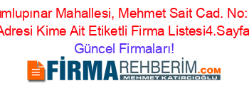 Dumlupınar+Mahallesi,+Mehmet+Sait+Cad.+No:10+Adresi+Kime+Ait+Etiketli+Firma+Listesi4.Sayfa Güncel+Firmaları!