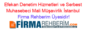Efekan+Denetim+Hizmetleri+ve+Serbest+Muhasebeci+Mali+Müşavirlik+İstanbul Firma+Rehberim+Üyesidir!