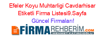 Efeler+Koyu+Muhtarligi+Cavdarhisar+Etiketli+Firma+Listesi9.Sayfa Güncel+Firmaları!