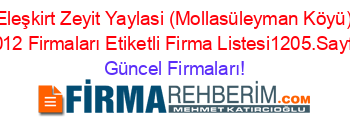 Eleşkirt+Zeyit+Yaylasi+(Mollasüleyman+Köyü)+2012+Firmaları+Etiketli+Firma+Listesi1205.Sayfa Güncel+Firmaları!